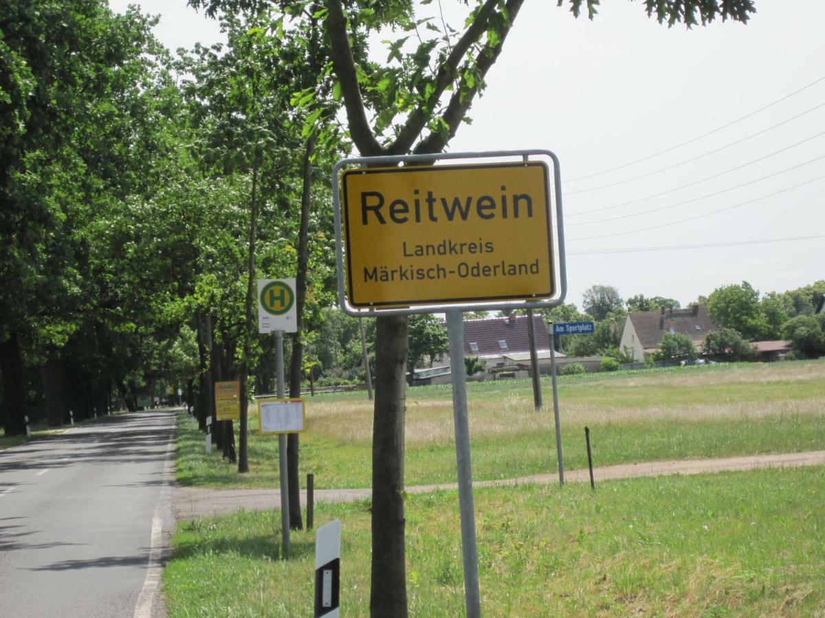 Pension Zum Weissen Hirsch Reitwein Luaran gambar