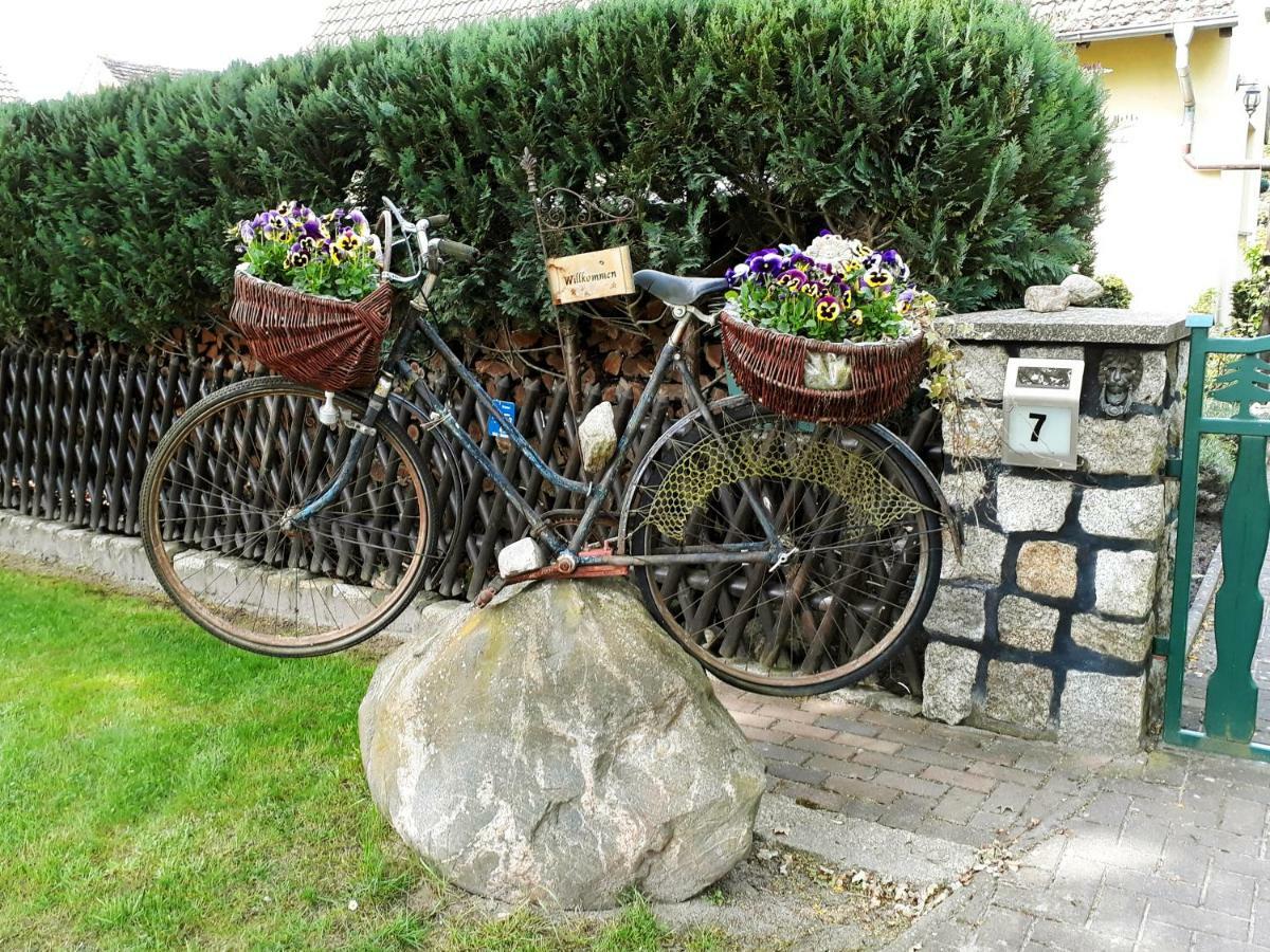 Pension Zum Weissen Hirsch Reitwein Luaran gambar